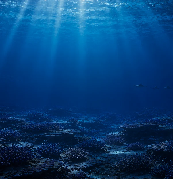 MAR